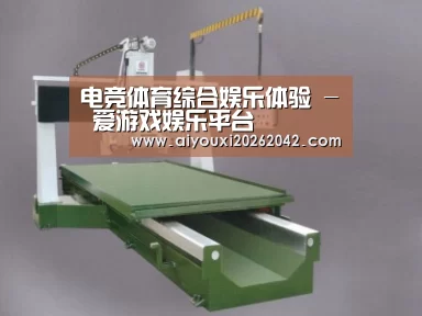 产品名称十