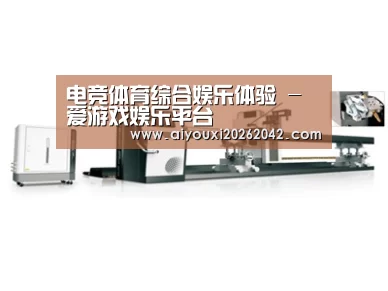 案例展示五